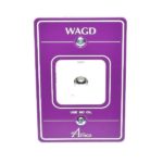 Amico O-FASC-QD-U-WAGD WAGD Ohmeda Latch Valve Assembly