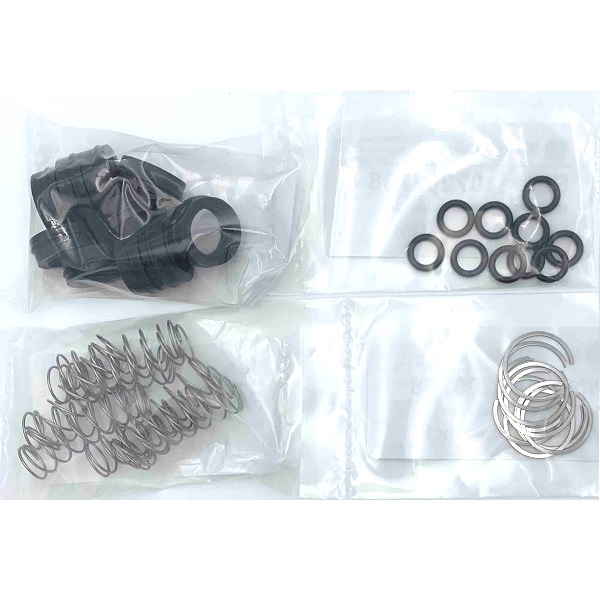 Beacon Medaes 290802-PG DISS Outlet Secondary Check Rough-In Repair Kit