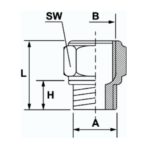 Anver Corp. HS12-12M-G Adapter