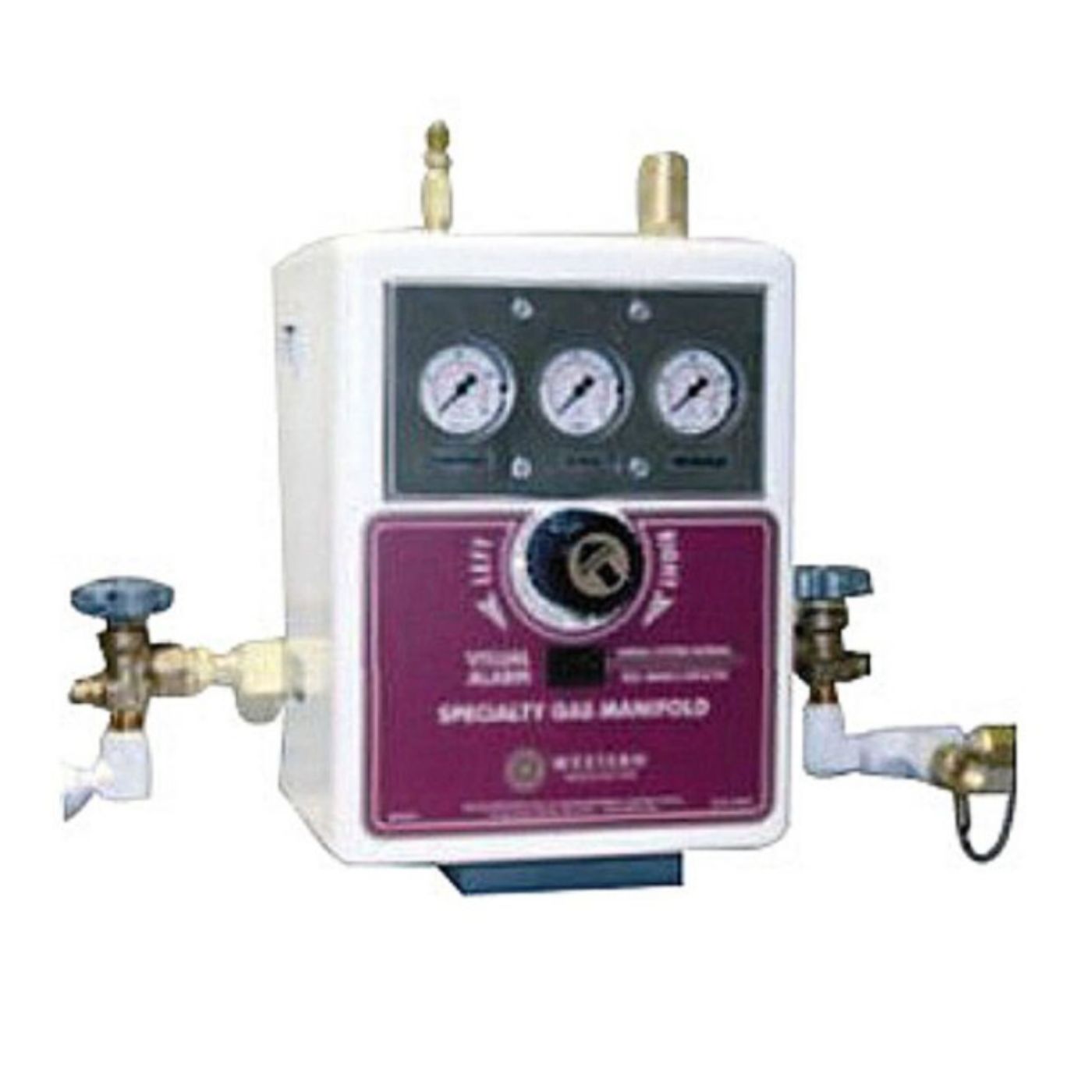 Western HBAC2-4-2 High-Purity Automatic Analog Manifold System