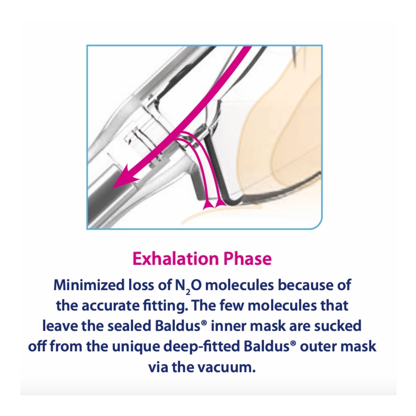 Baldus 16208-AA Adult Single-Use Inner Mask with Membrane Happy Apple - Image 5